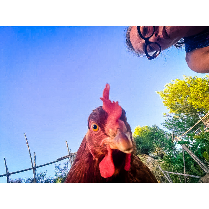 Off-grid Rewilding Sanctuary