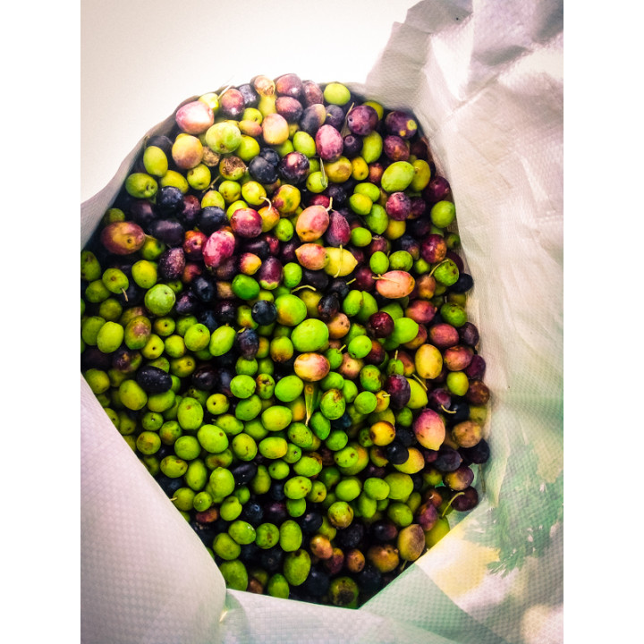 Off-grid Rewilding Sanctuary