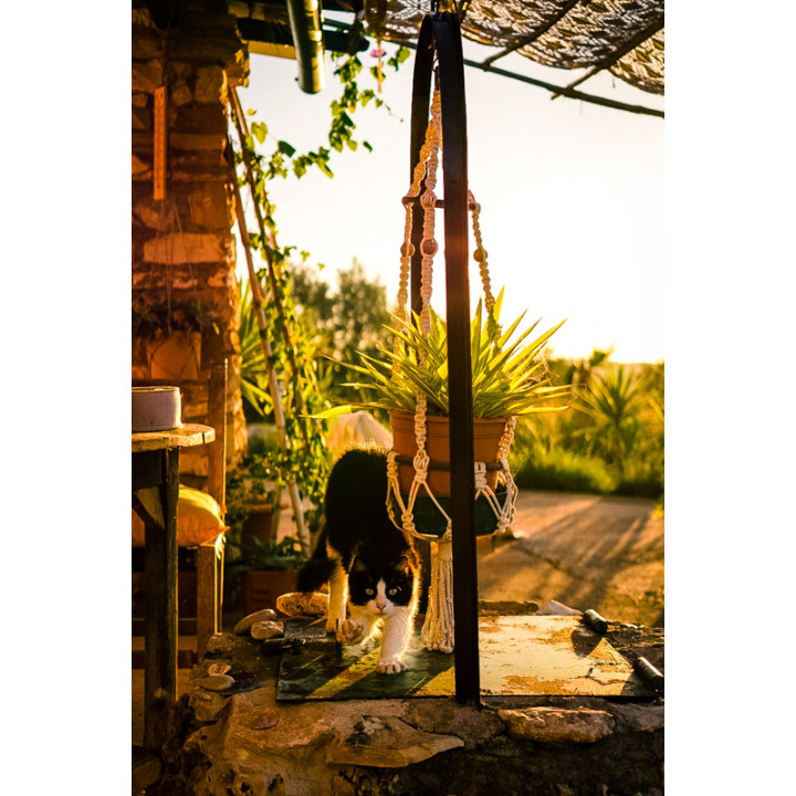 Off-grid Rewilding Sanctuary