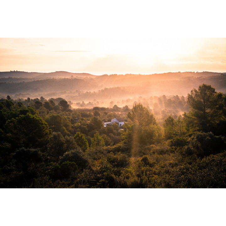 Off-grid Rewilding Sanctuary