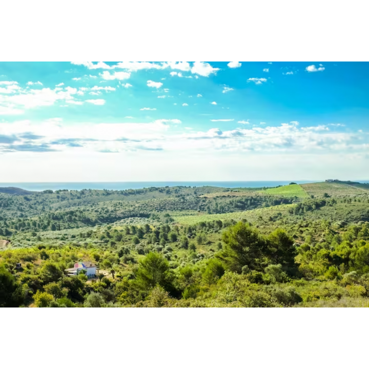 Off-grid Rewilding Sanctuary