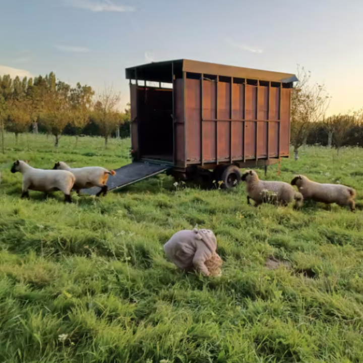 Whole Farmhouse on organic orchard