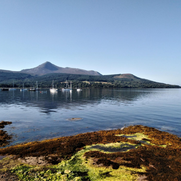 Among Arran’s Ancient Ecology