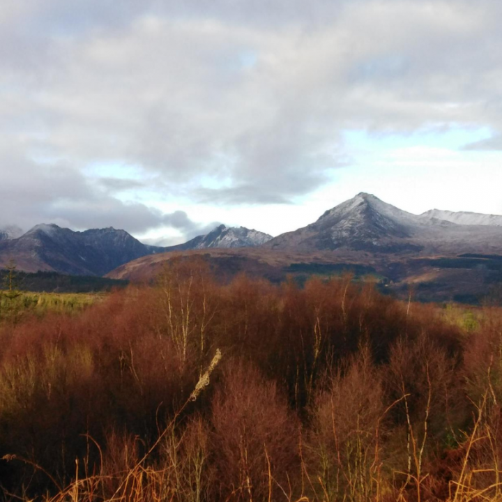 Yurts in Arran’s Living Landscape