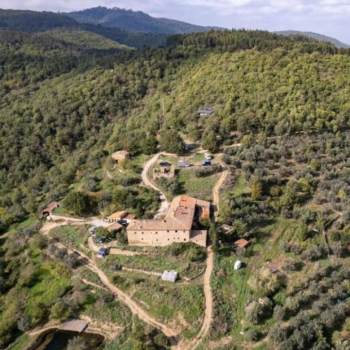 Tuscan Farmstay in the woods: Erborista