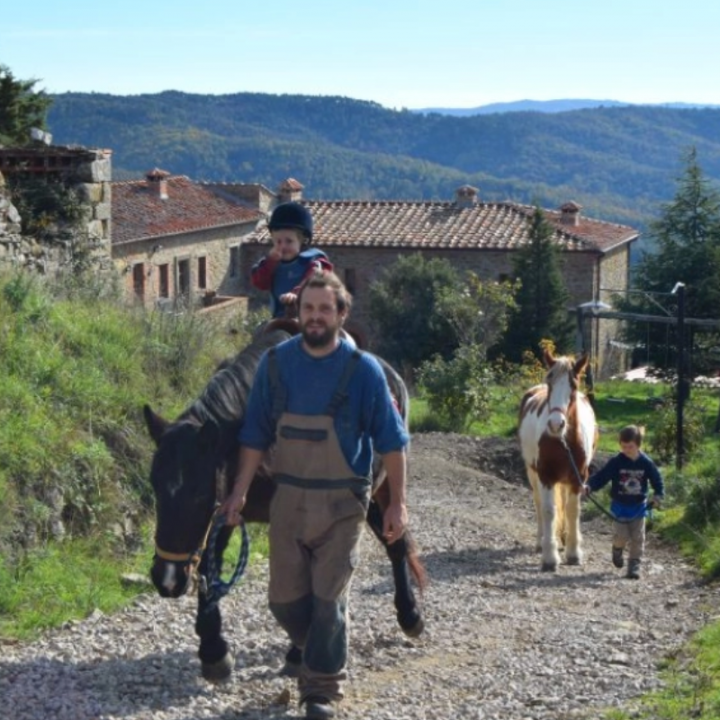 Tuscan Farmstay in the woods: Erborista