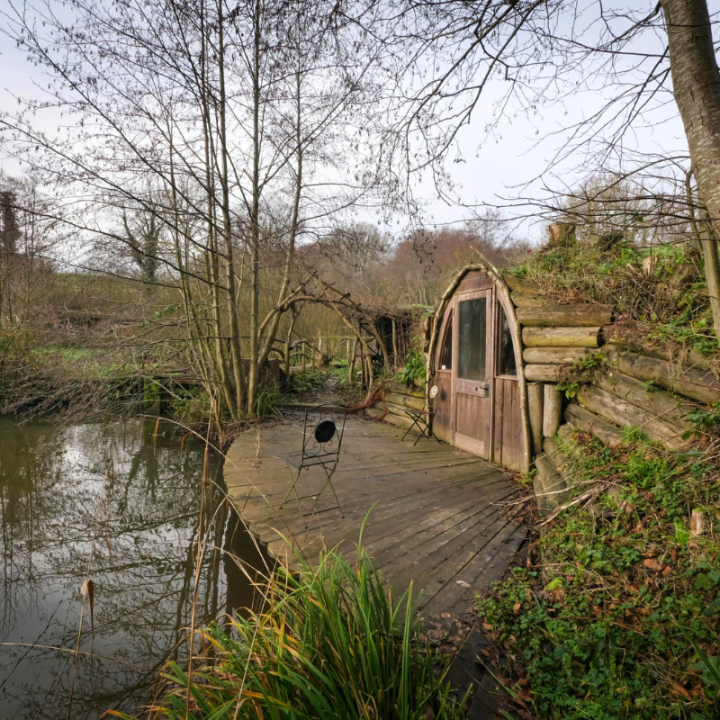 The Lakeside Burrow